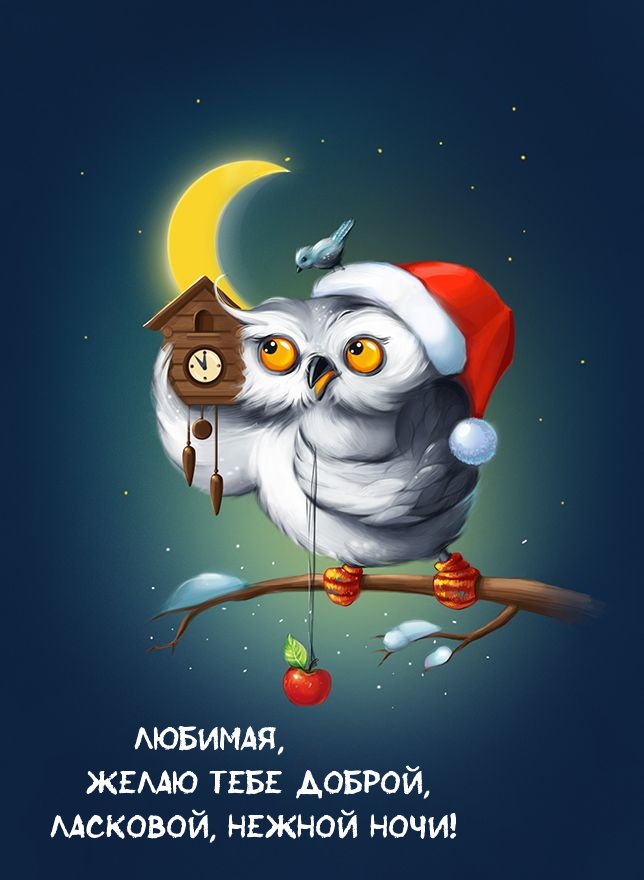 Любимая, Желаю тебе доброй, ласковой, нежной ночи!
