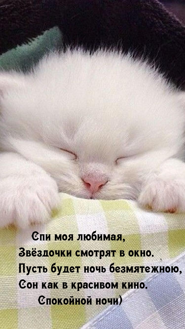 Спи моя любимая, звёздочки смотрят в окно.