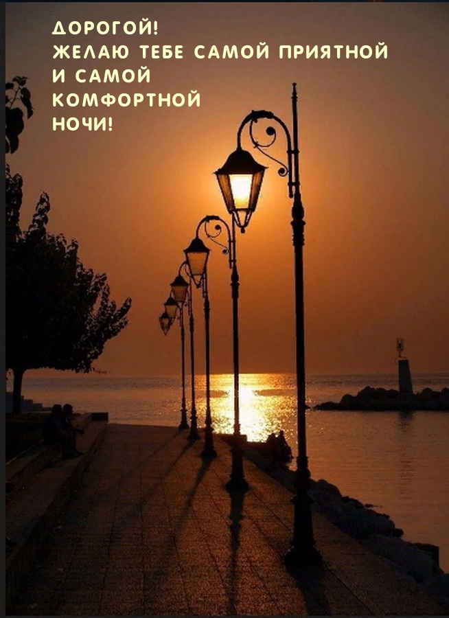 Дорогой! Желаю тебе самой приятной и самой комфортной ночи!