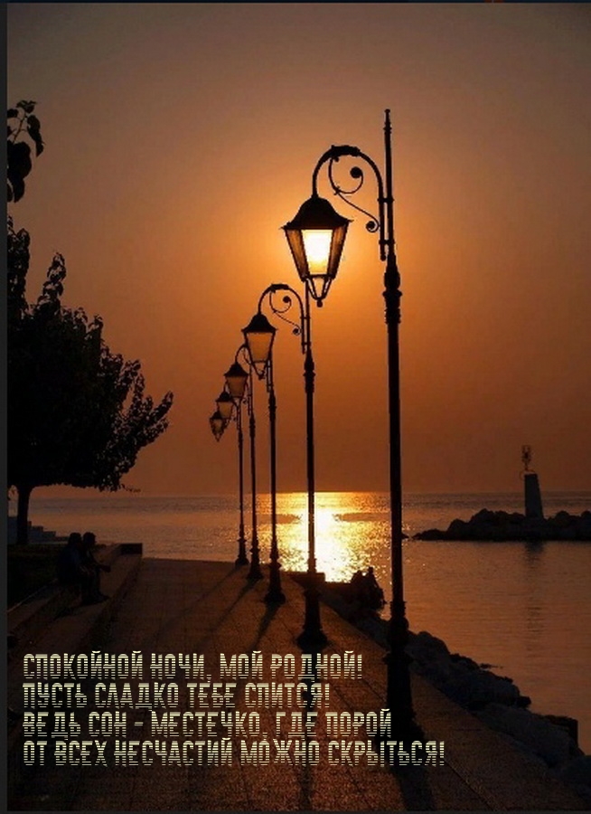 Спокойной ночи, мой родной! Пусть сладко тебе спится!