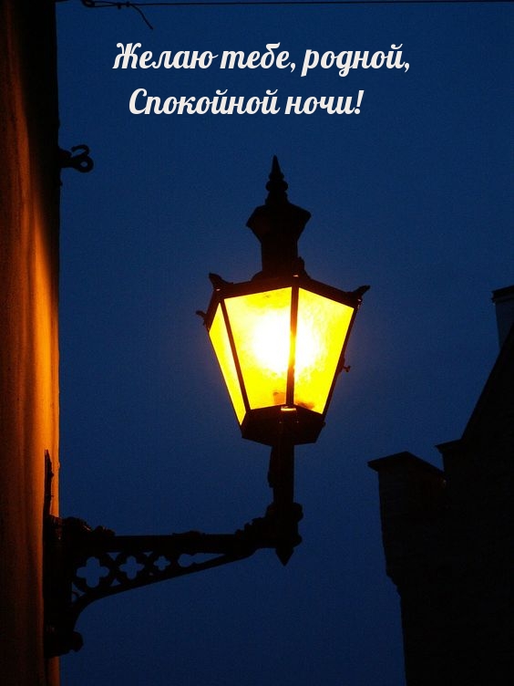 Желаю тебе, родной, спокойной ночи!