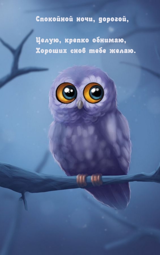 Целую, крепко обнимаю, хороших снов тебе желаю.