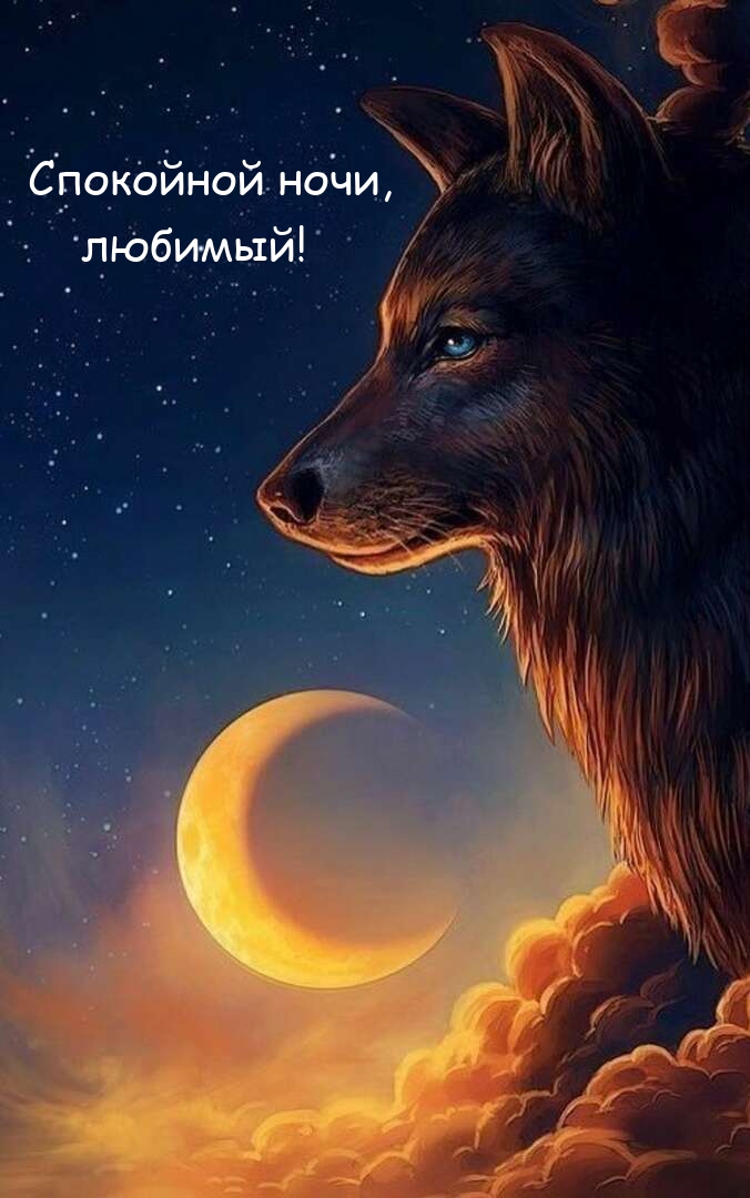 Спокойной ночи, любимый!