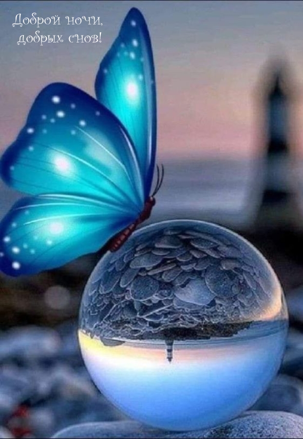 Доброй ночи, добрых снов!