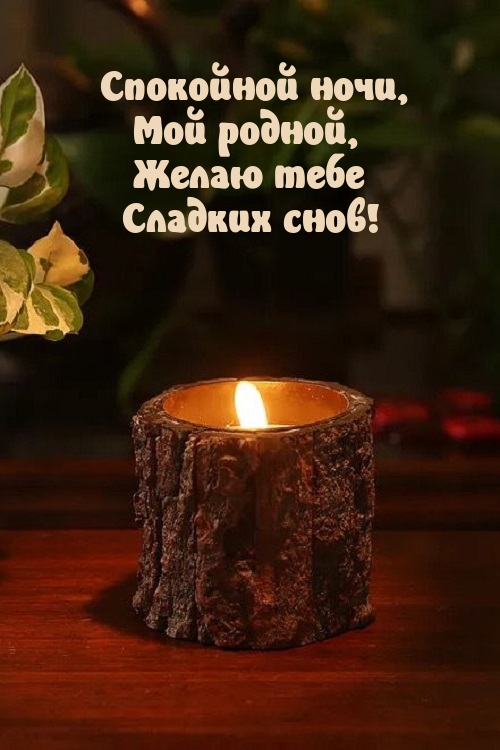 Спокойной ночи, мой родной, желаю тебе сладких снов!
