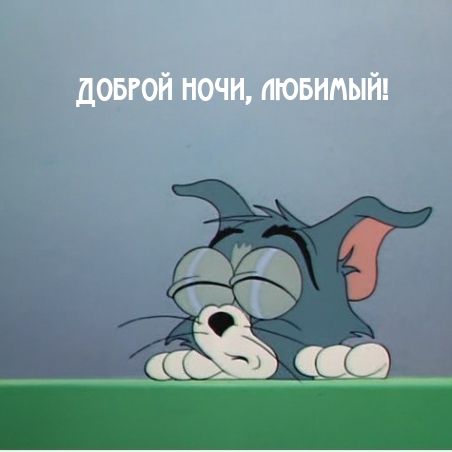 Доброй ночи, любимый!