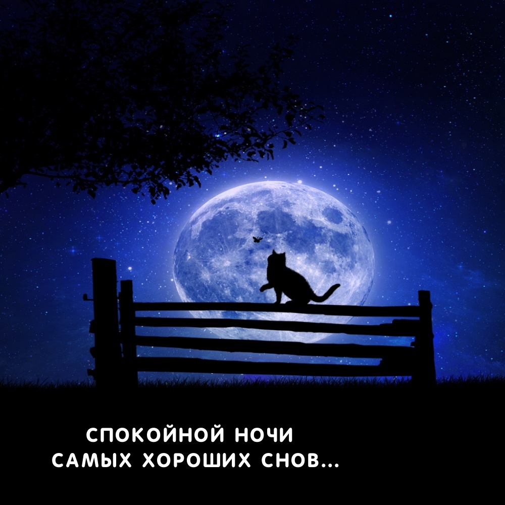 Спокойной ночи Самых хороших снов...