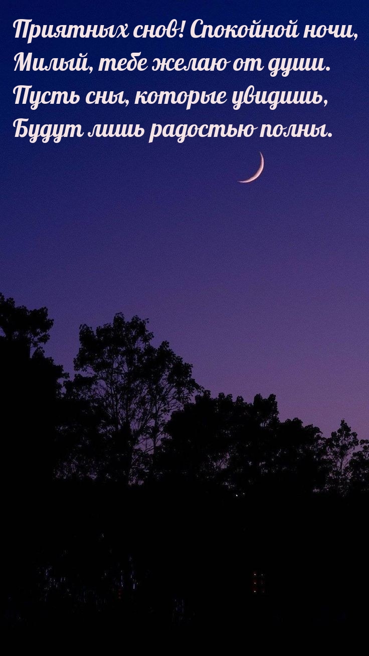 Приятных снов! Спокойной ночи, милый, тебе желаю от души.