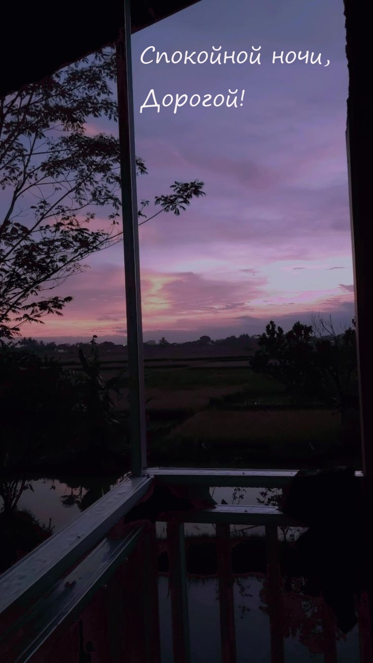 Спокойной ночи, Дорогой!