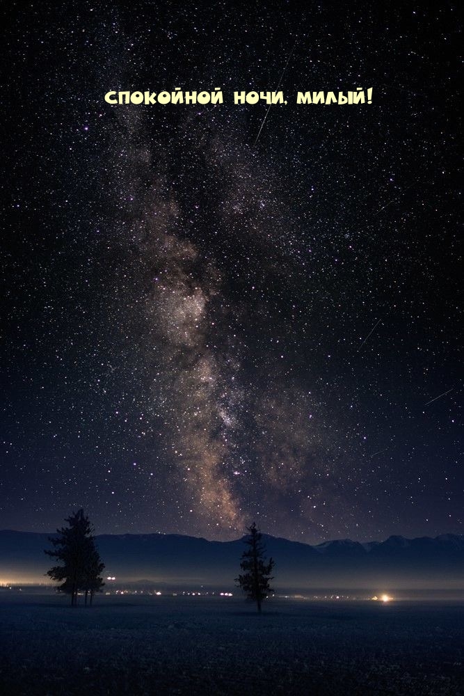 Спокойной ночи, милый!