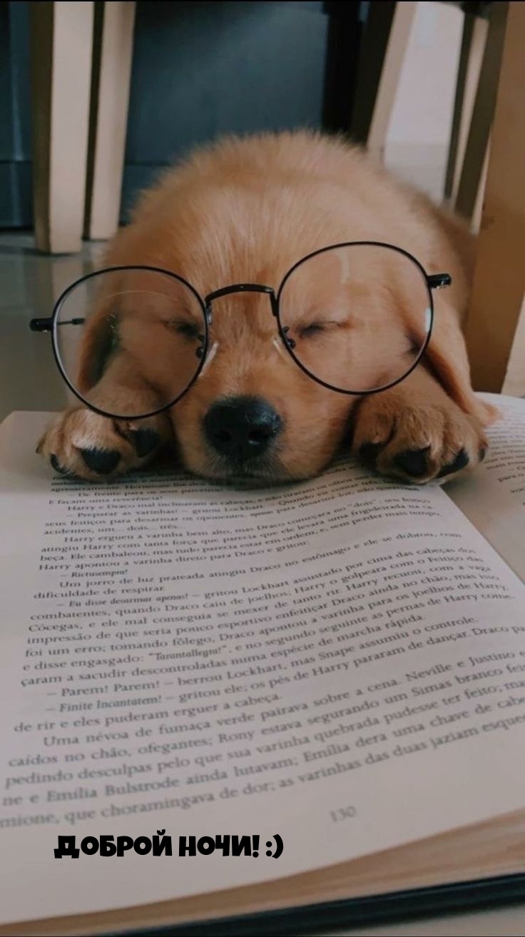 Доброй ночи! :)