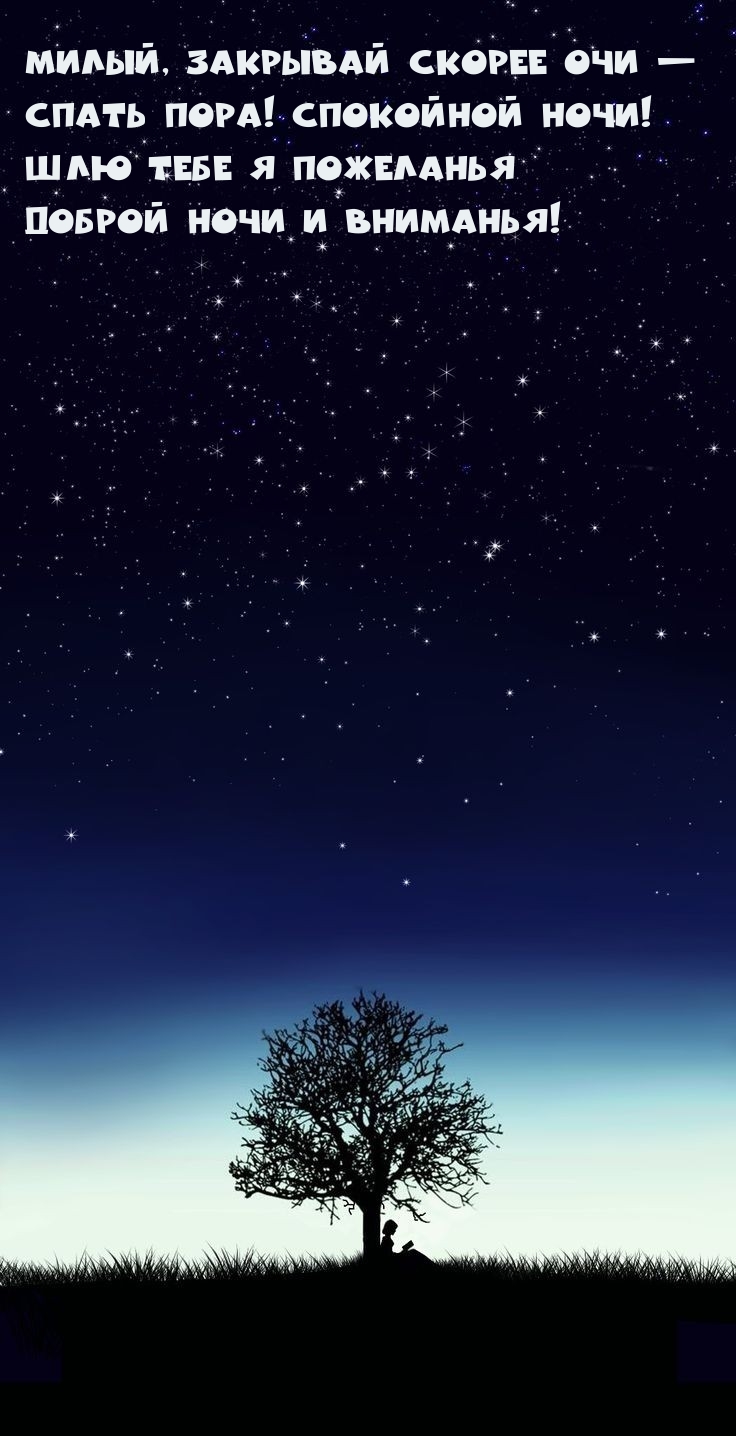 Милый, закрывай скорее очи — спать пора! Спокойной ночи!