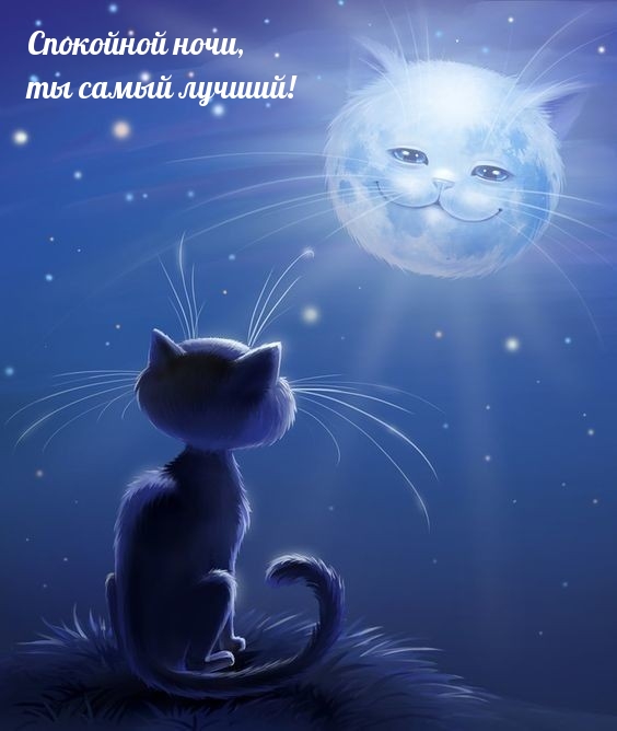 Спокойной ночи, ты самый лучший!
