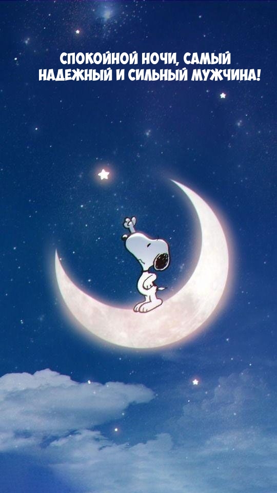 Спокойной ночи, самый надежный и сильный мужчина!