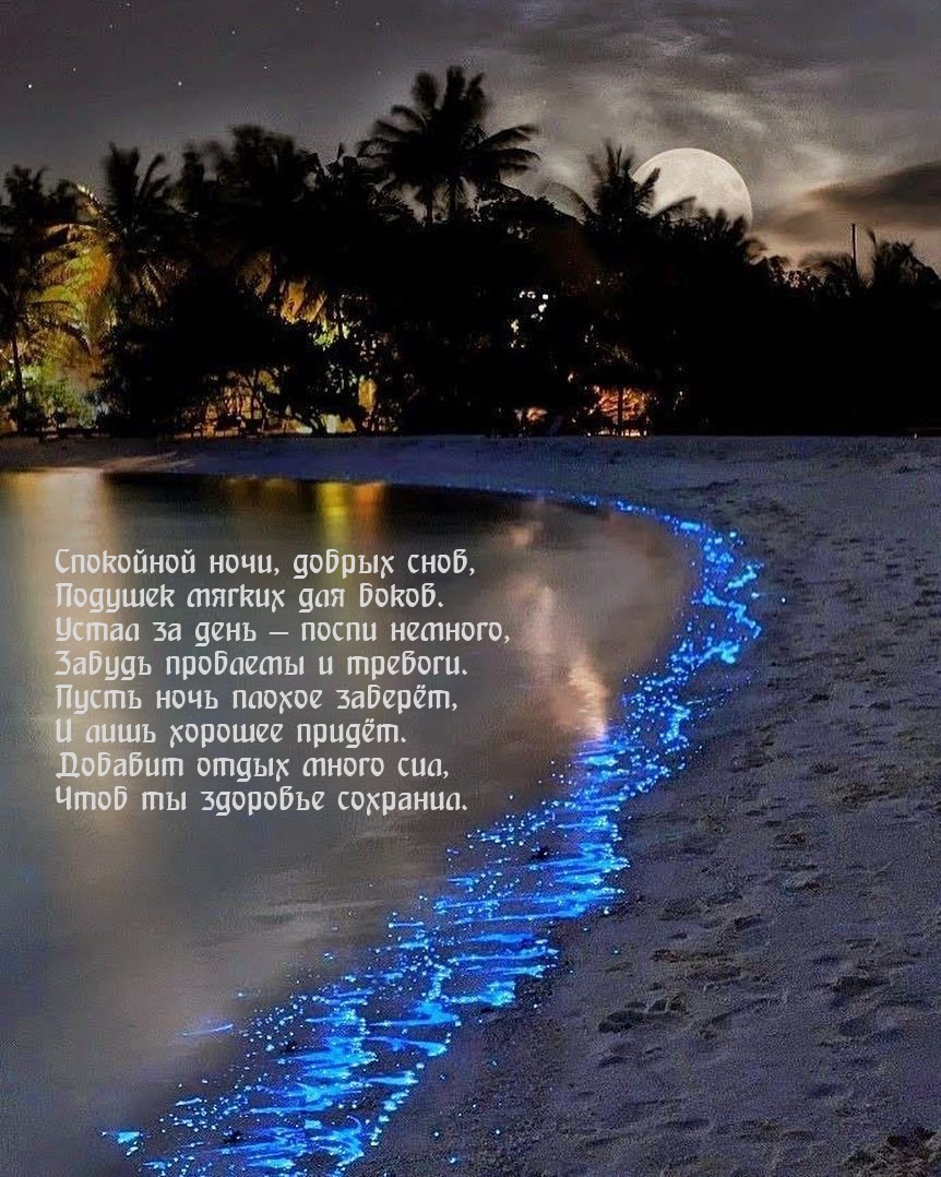 Спокойной ночи, добрых снов, подушек мягких для боков.