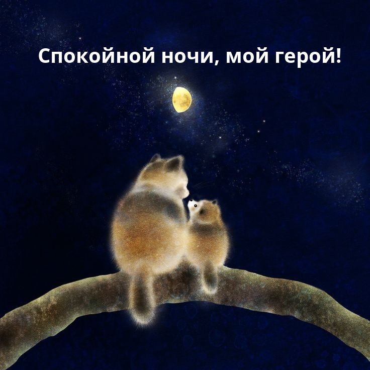 Спокойной ночи, мой герой!
