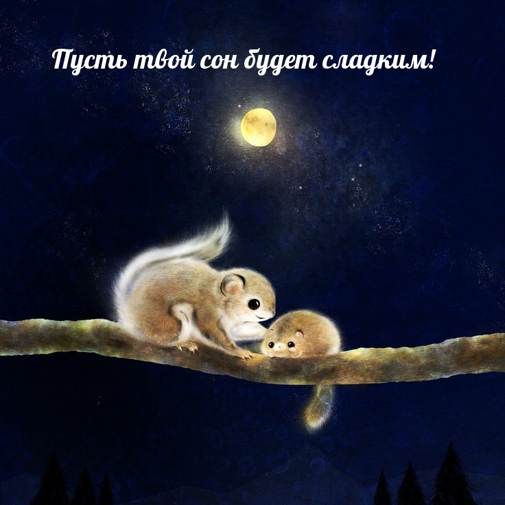 Пусть твой сон будет сладким!