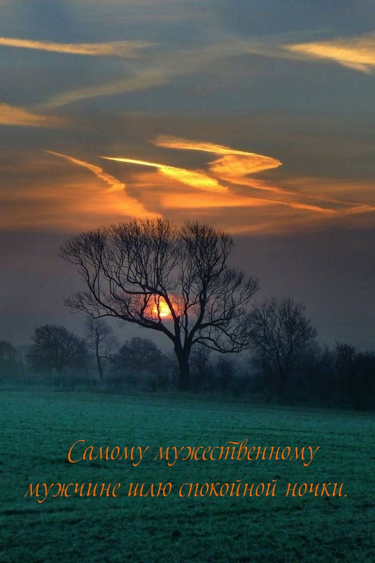 Самому мужественному мужчине шлю спокойной ночки.