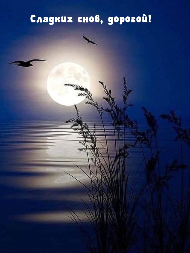 Сладких снов, дорогой!