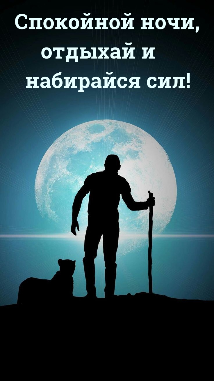 Спокойной ночи, отдыхай и набирайся сил! 