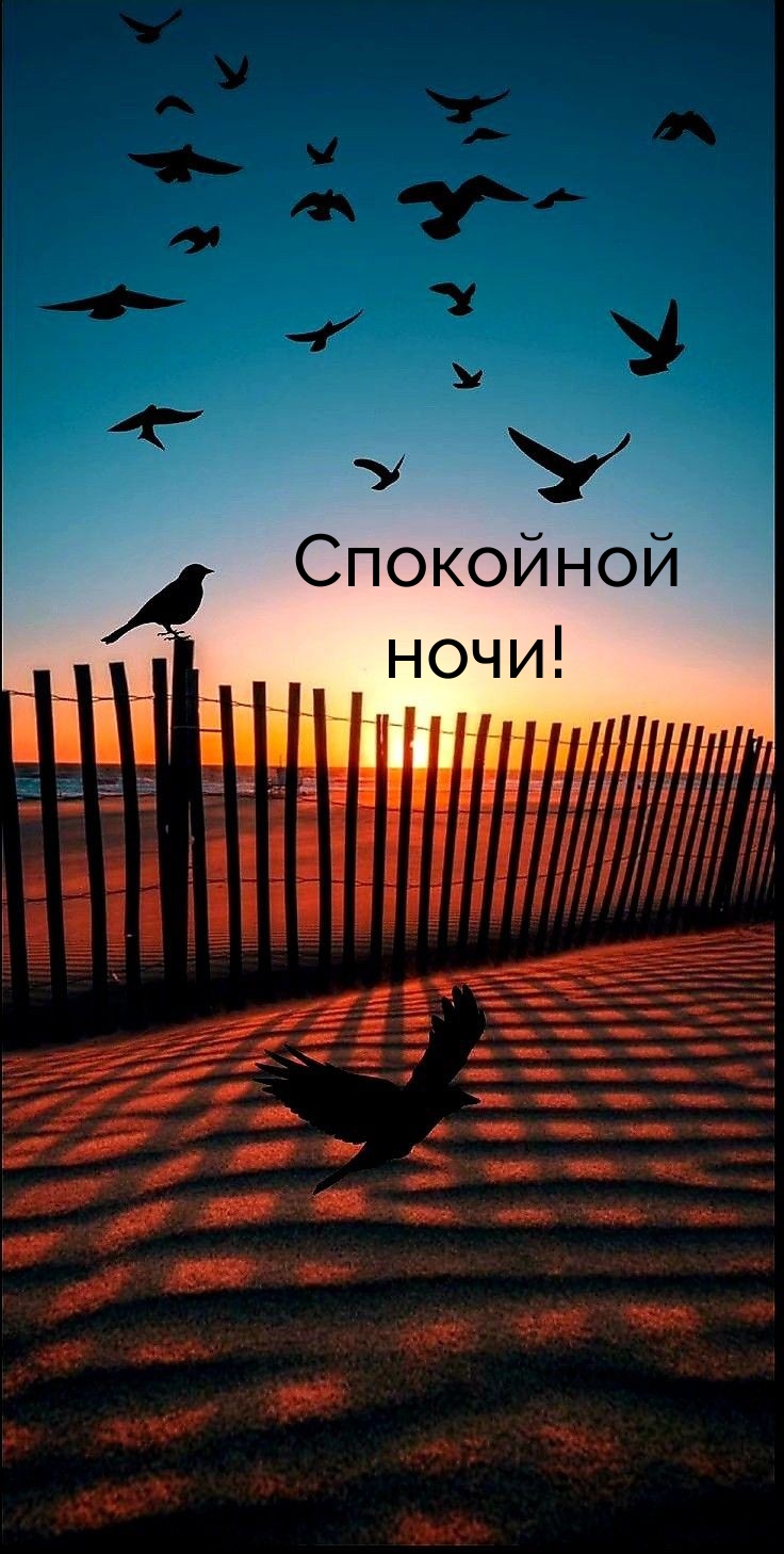 Спокойной ночи!