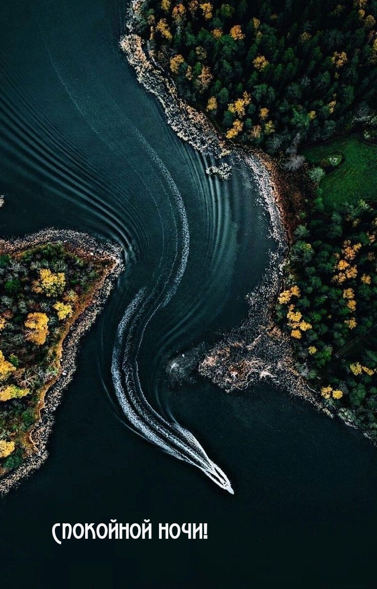 Спокойной ночи!