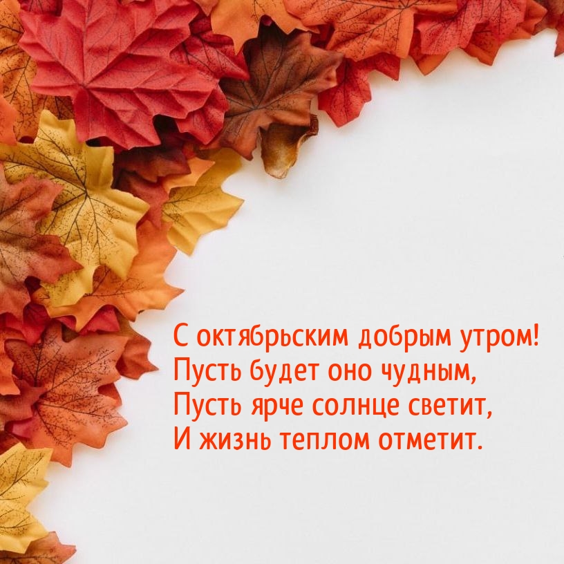 С октябрьским добрым утром! Пусть будет оно чудным