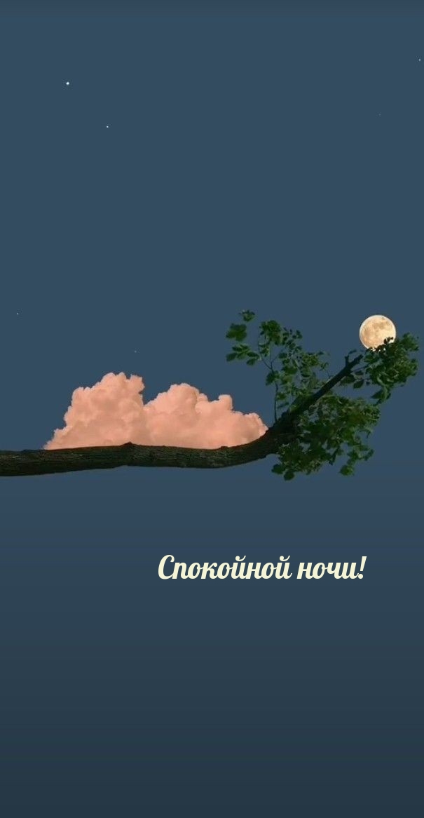 Спокойной ночи!