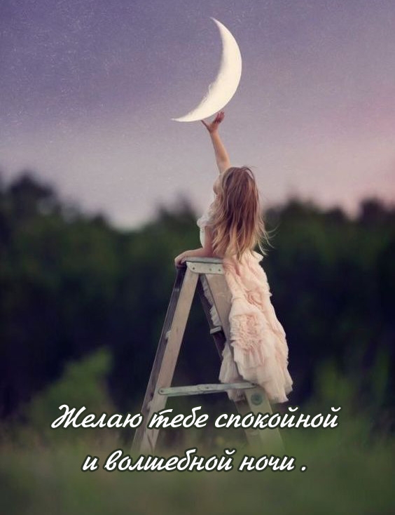 Желаю тебе спокойной и волшебной ночи. 