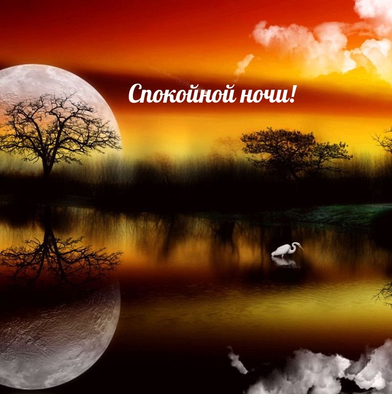 Спокойной ночи!