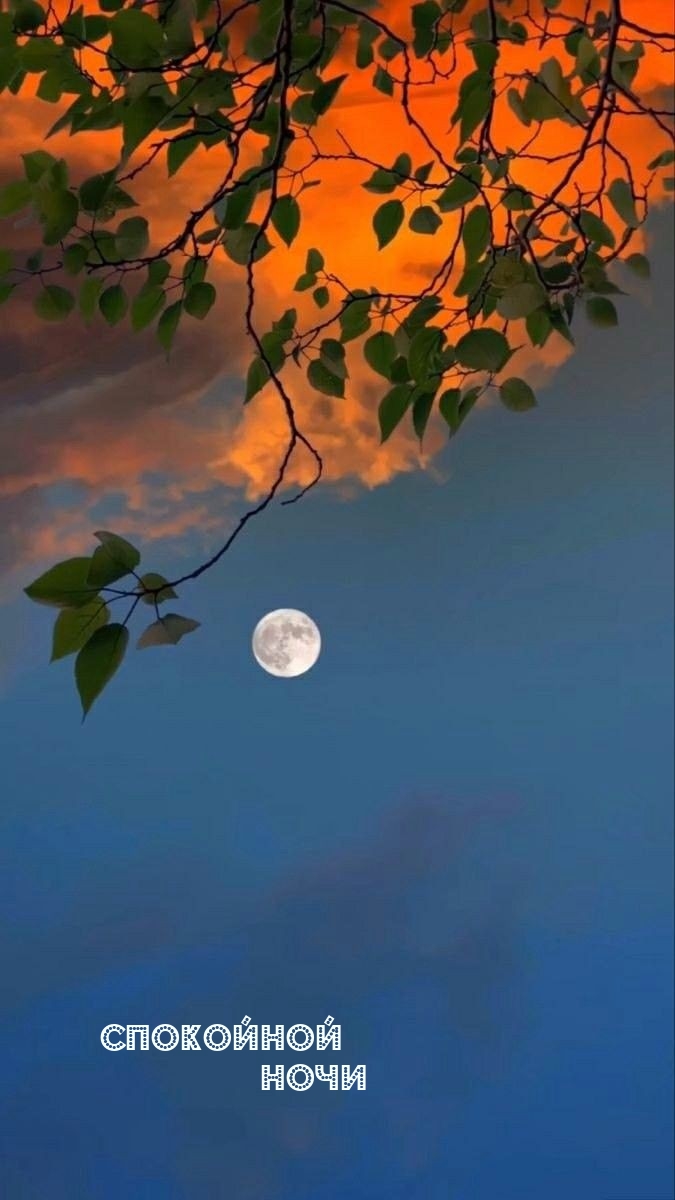 Спокойной Ночи