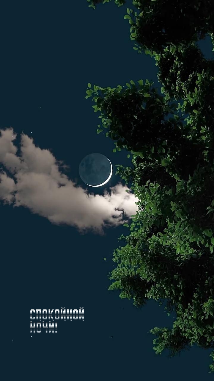 Спокойной ночи!