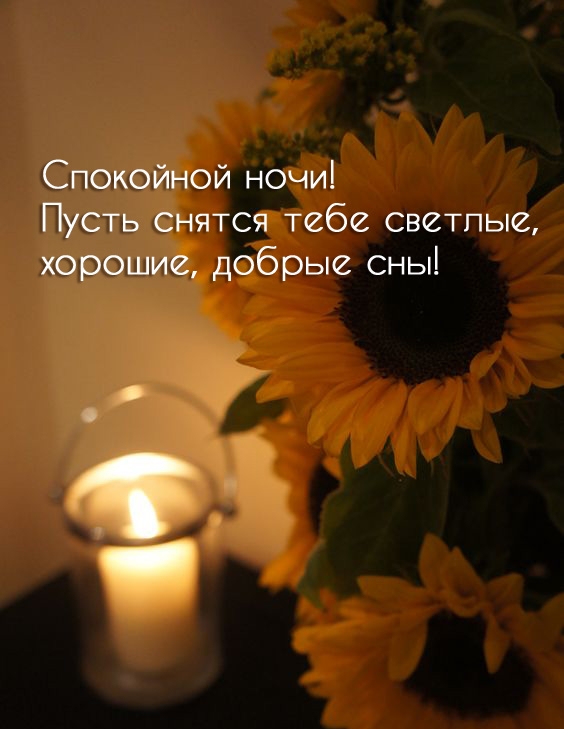 Пусть снятся тебе светлые, хорошие, добрые сны! 