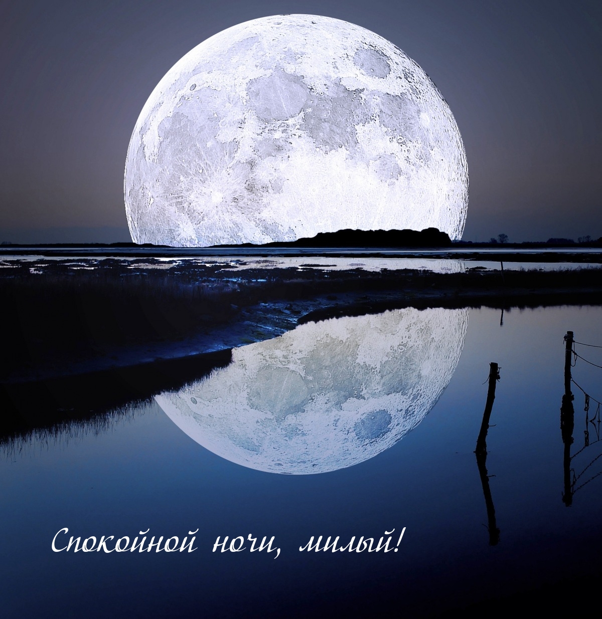 Спокойной ночи, милый!