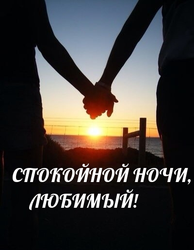 Спокойной ночи, любимый! 
