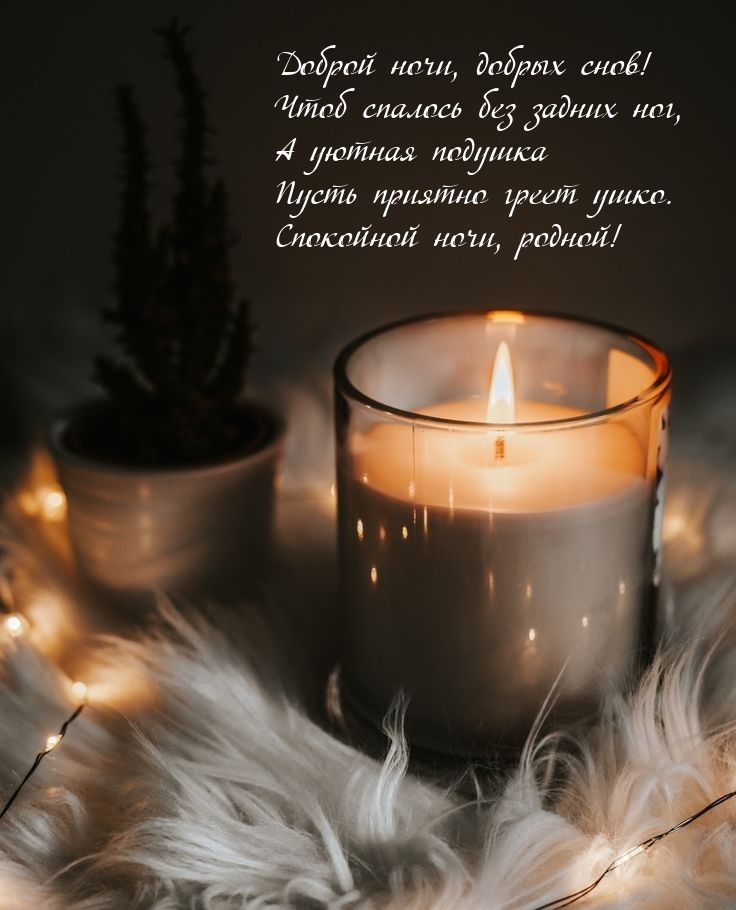Доброй ночи, добрых снов! Чтоб спалось без задних ног