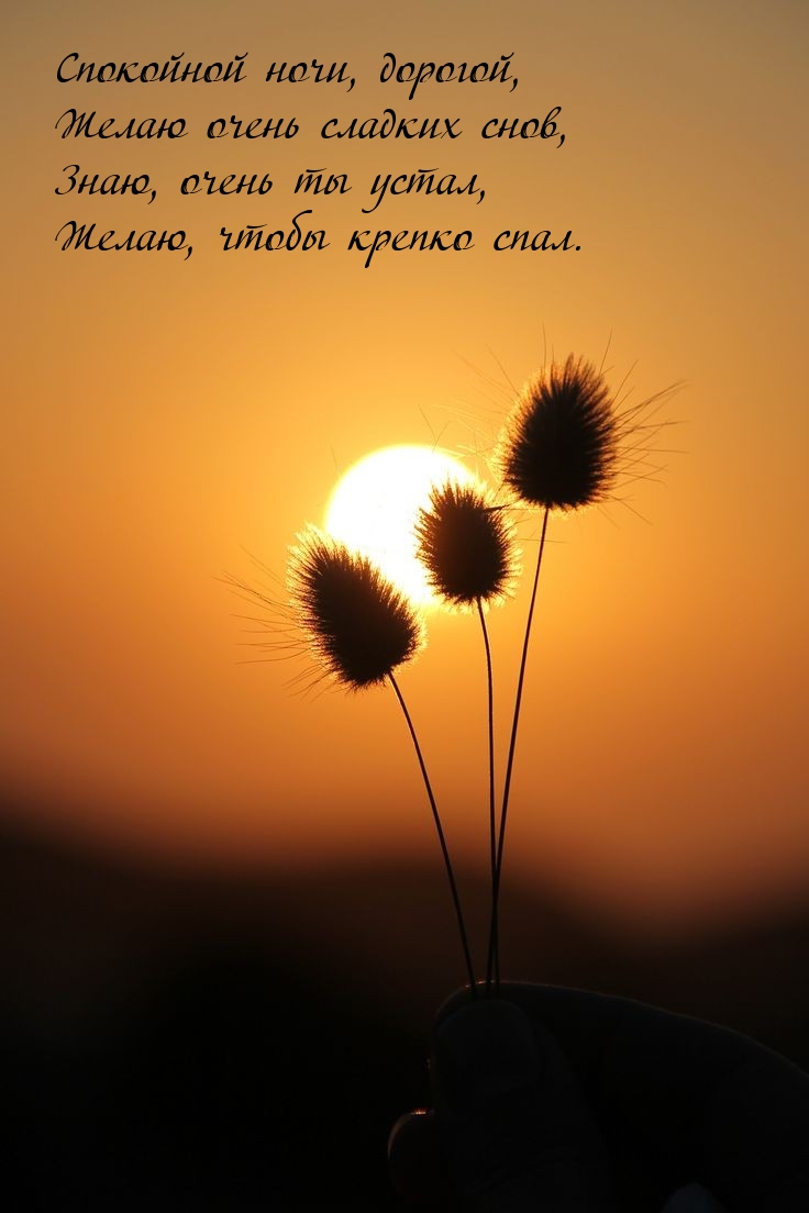 Спокойной ночи, дорогой, желаю очень сладких снов.