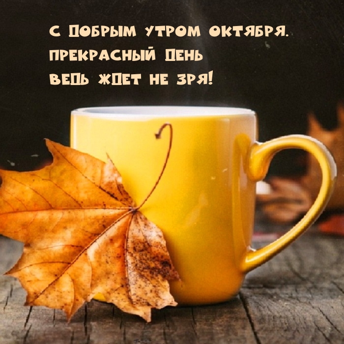 С добрым утром октября. Прекрасный день 