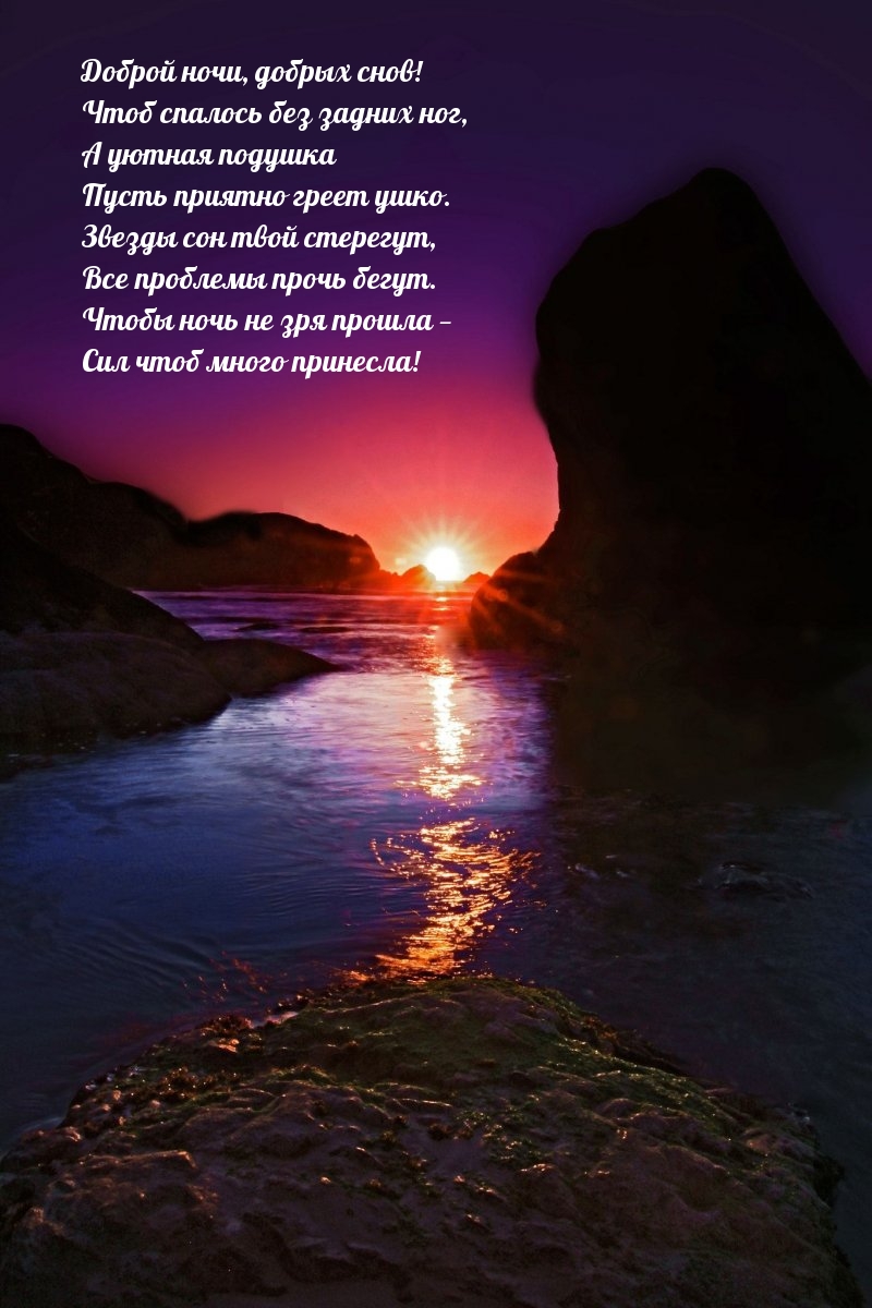 Доброй ночи, добрых снов! Чтоб спалось без задних ног