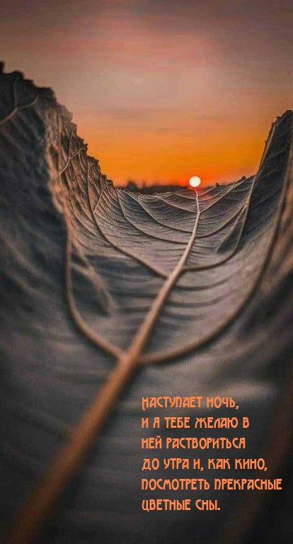 Добрых снов, спокойной ночи, ты устал так отдохни.