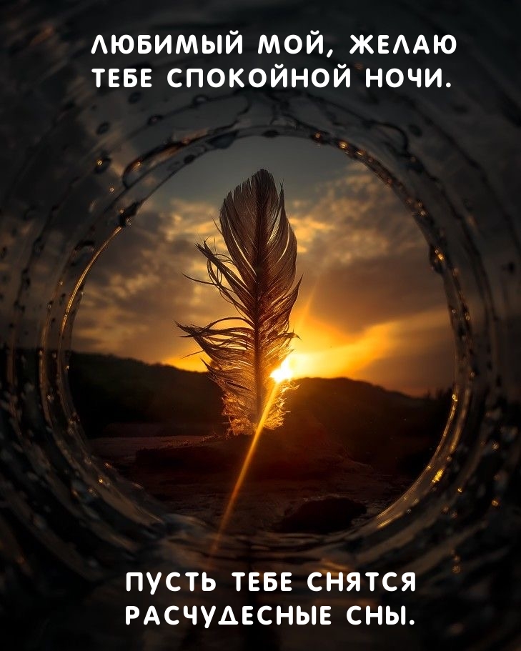 Любимый мой, желаю тебе спокойной ночи. 