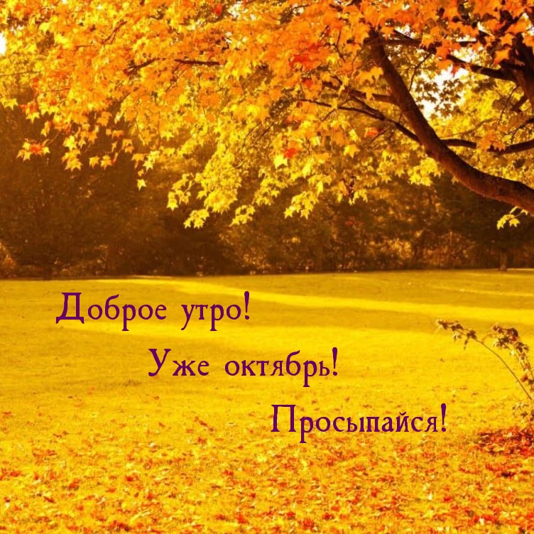 Доброе утро! Уже октябрь! Просыпайся!