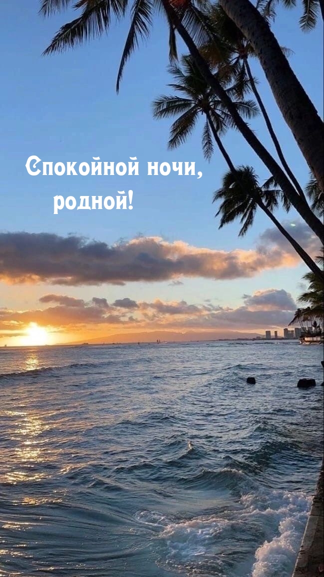 Спокойной ночи, родной!