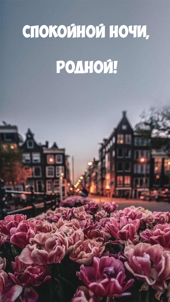 Спокойной ночи, родной!