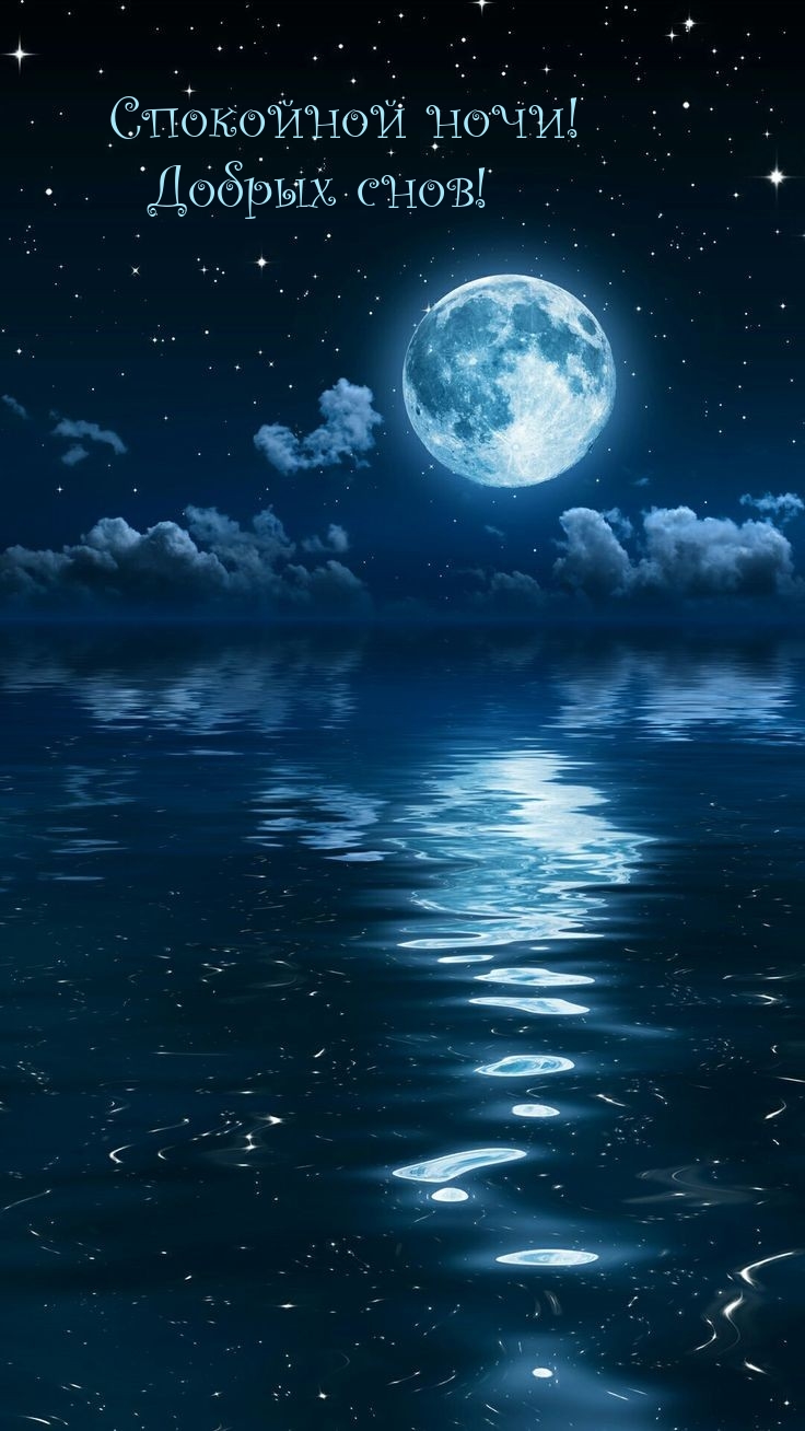 Спокойной ночи! Добрых снов!