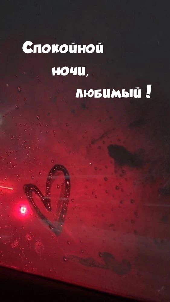 Спокойной ночи, любимый! 