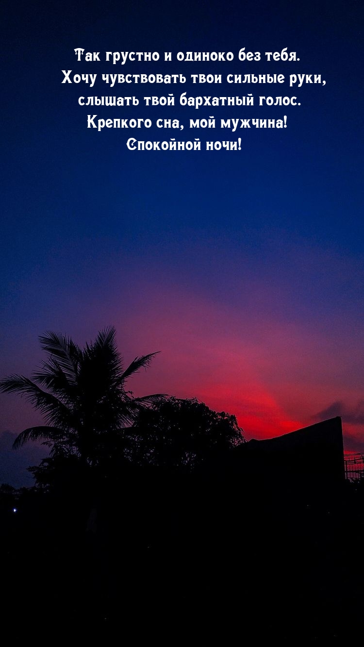 Крепкого сна, мой мужчина! Спокойной ночи!