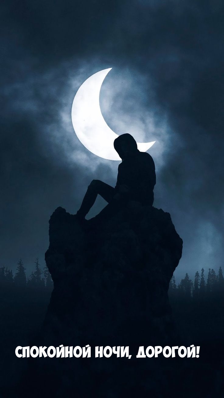 Спокойной ночи, дорогой!