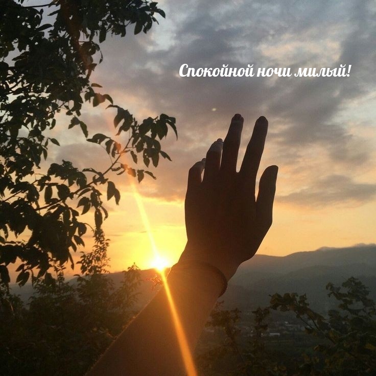 Спокойной ночи милый!