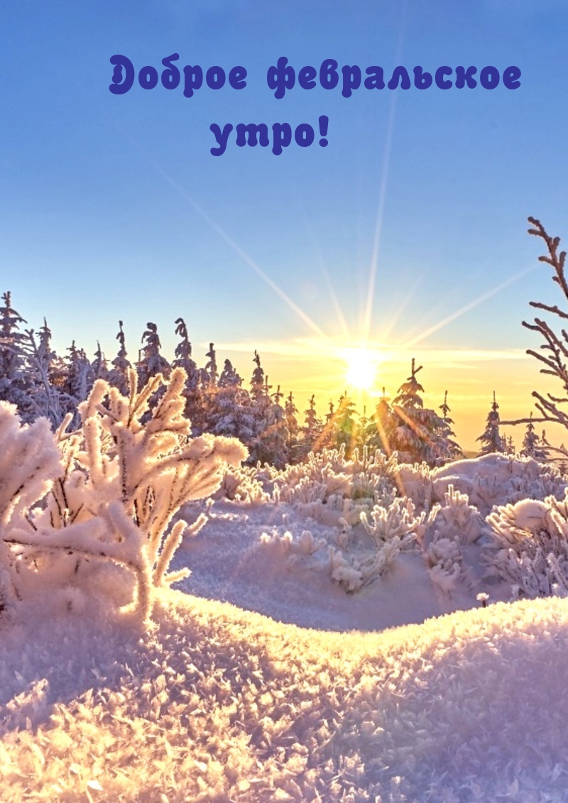Доброе февральское утро!